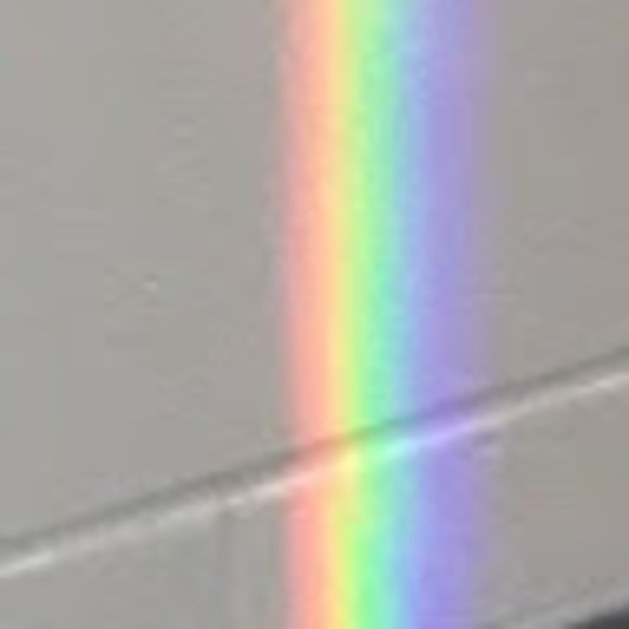 Meet your Posher, Lil - Picture 1 of 1